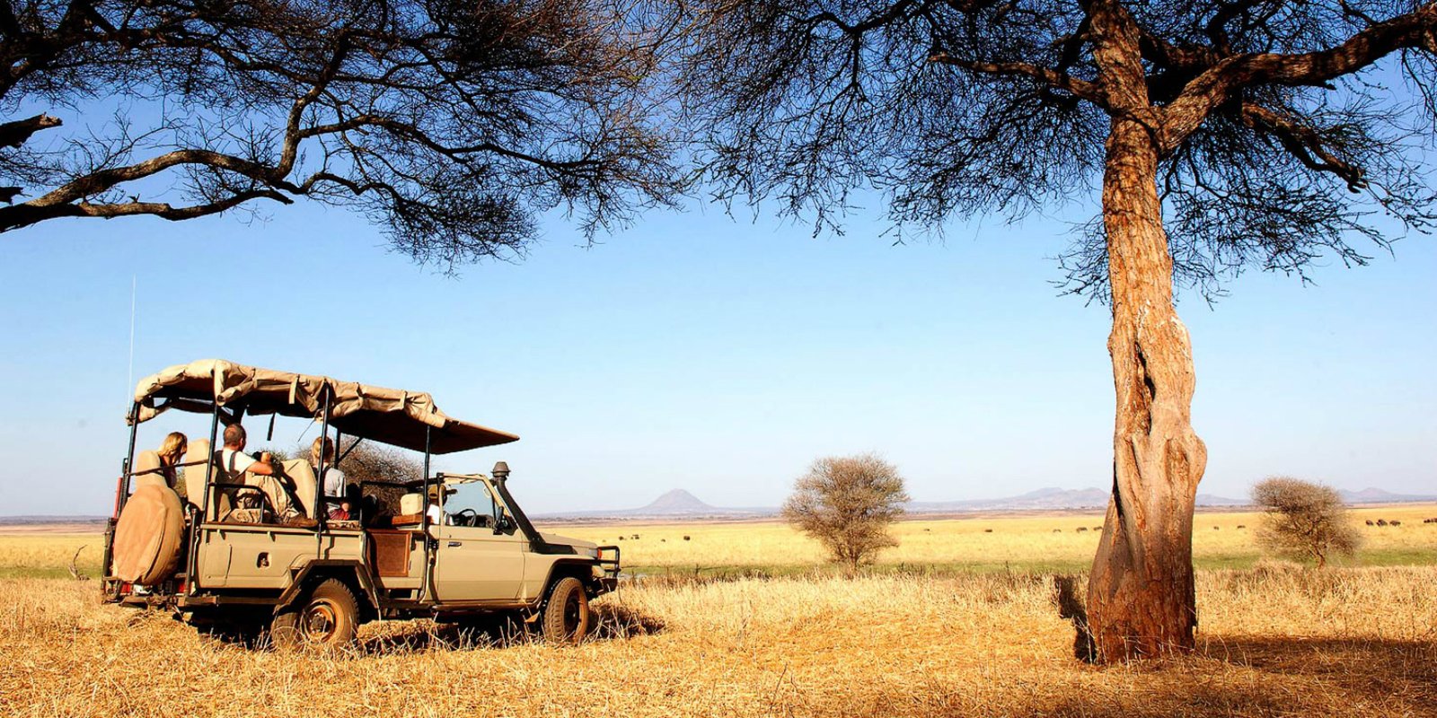 Tanzania Safaris