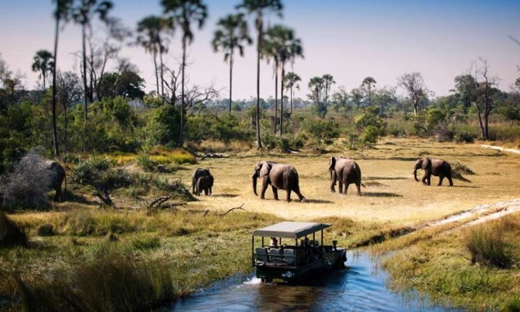 Tanzania Day Trips