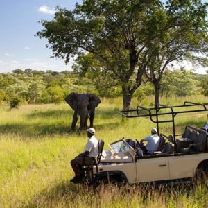 4 days Tanzania Safari