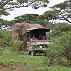 arusha-national-park-3-1