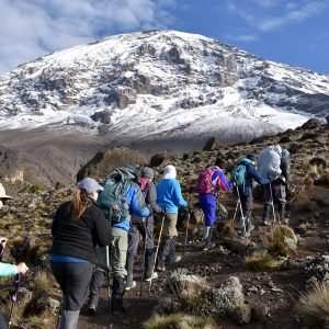 kilimanjaro