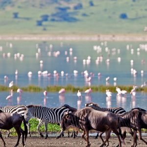 ngorongoro crater2